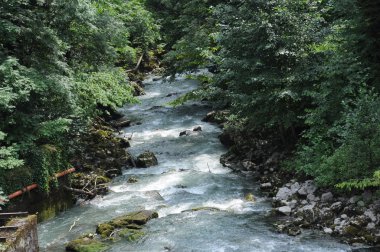 River flowing from Lake Ritsa. Abkhazia clipart