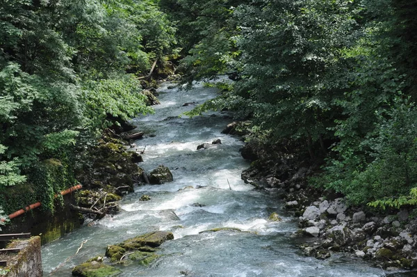 River flowing from Lake Ritsa. Abkhazia — Stock Photo, Image