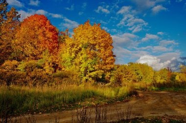 Early autumn near Penza clipart