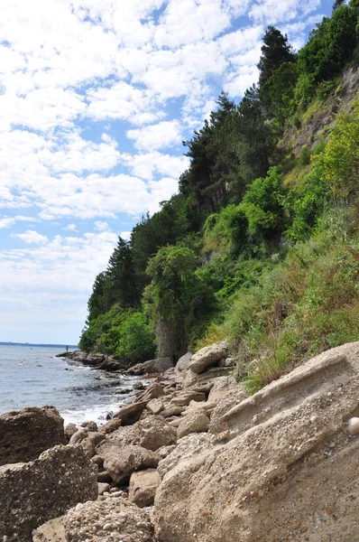 stock image Black Sea Coast