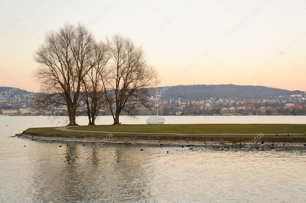 Little island in the middle of Zurich lake