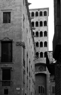 Plaça del Rei - Barrio Gotico, Barcelona, Spain