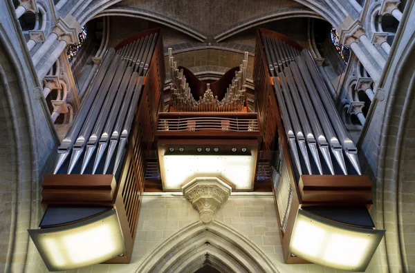 Tuyaux d'orgue — Photo