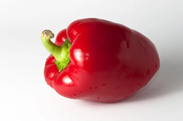 stock image Red pepper