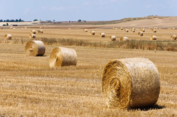 stock image Hay bales