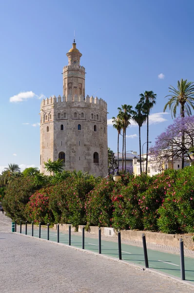 Torre de oro - sevilla, İspanya.