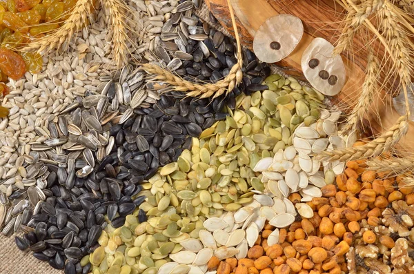 Semillas y frutas secas de cereales — Foto de Stock