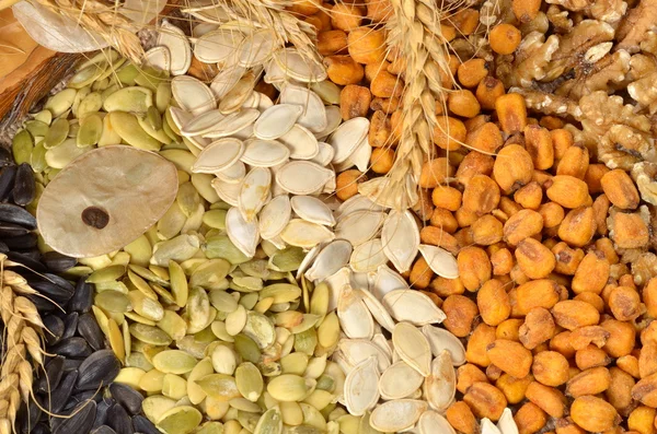 Dried cereal seeds and fruits — Stock Photo, Image