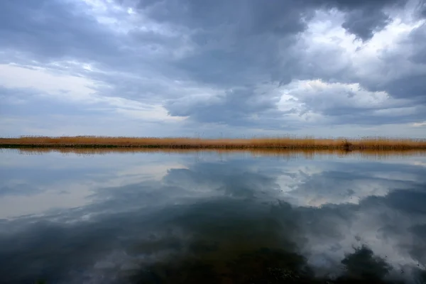 Lake in summer — Stock Photo, Image