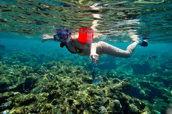 Νεαρή γυναίκα, κολύμβηση με αναπνευστήρα — Φωτογραφία Αρχείου