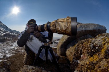 vahşi yaşam fotoğrafçısı