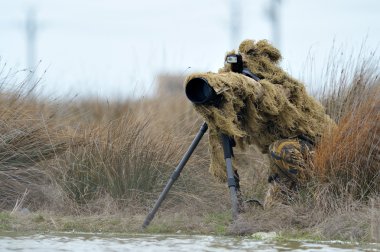 vahşi yaşam fotoğrafçısı açık