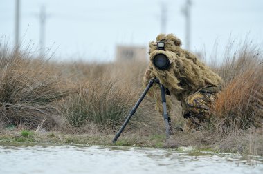 vahşi yaşam fotoğrafçısı açık