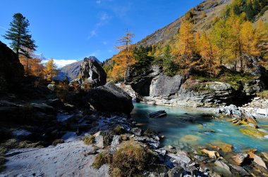 Sonbaharda dağ manzarası