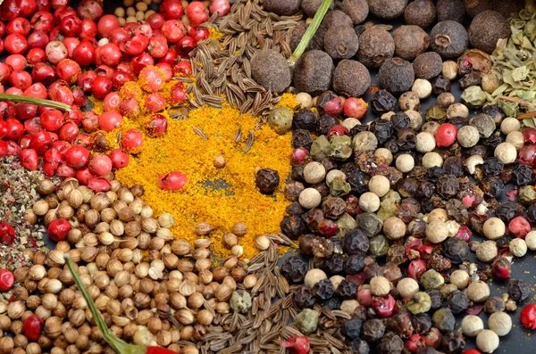 stock image Colorful spices