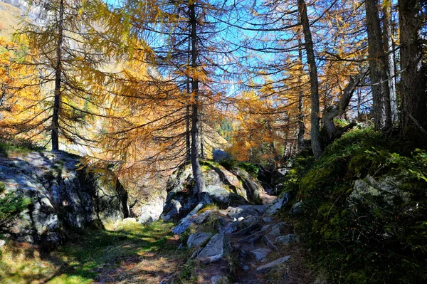 Bergslandskap på hösten — Stockfoto