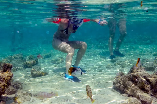 Mujer joven haciendo snorkel — Foto de Stock