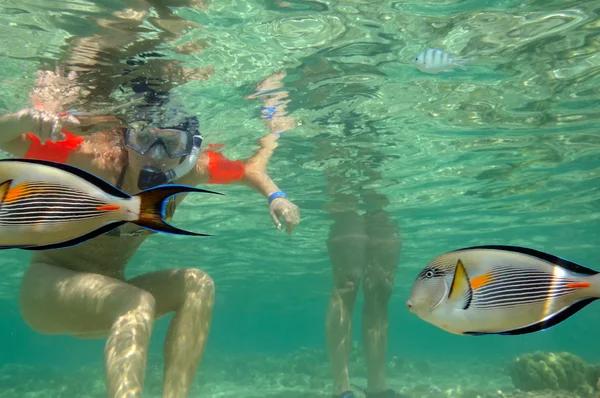 Jovem mulher snorkeling — Fotografia de Stock