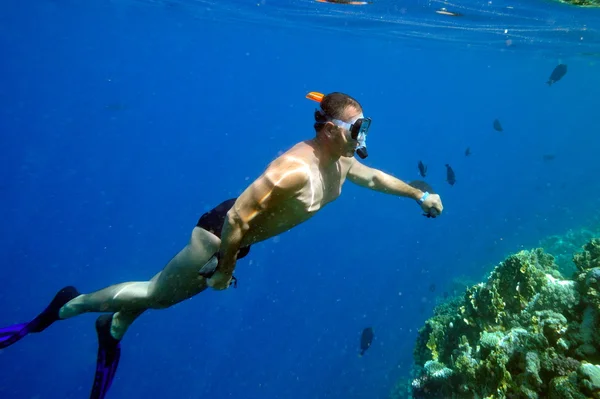 Homem mergulho — Fotografia de Stock
