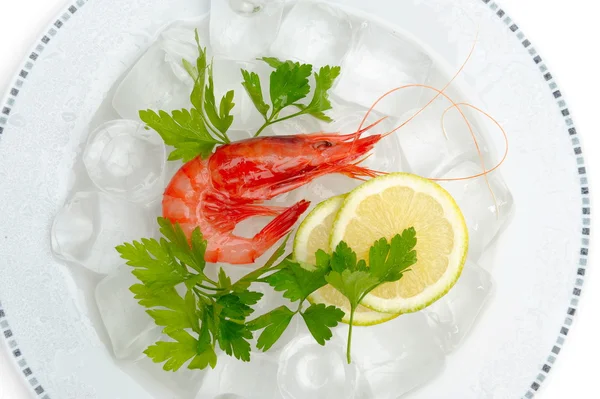 stock image Shrimps with lemon and ice