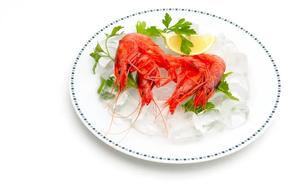 stock image Shrimps with lemon and ice