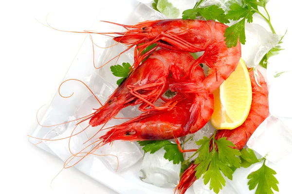 stock image Fresh shrimps