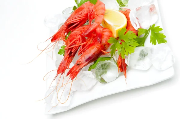 Stock image Fresh shrimps