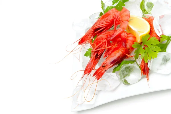 stock image Fresh shrimps