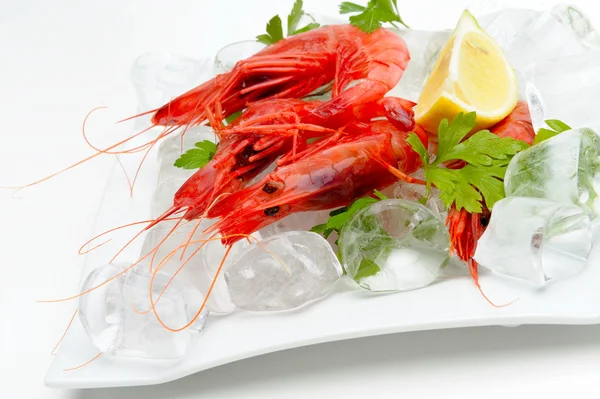 stock image Fresh shrimps