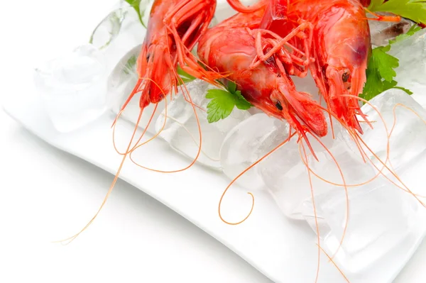 stock image Shrimps with lemon and ice