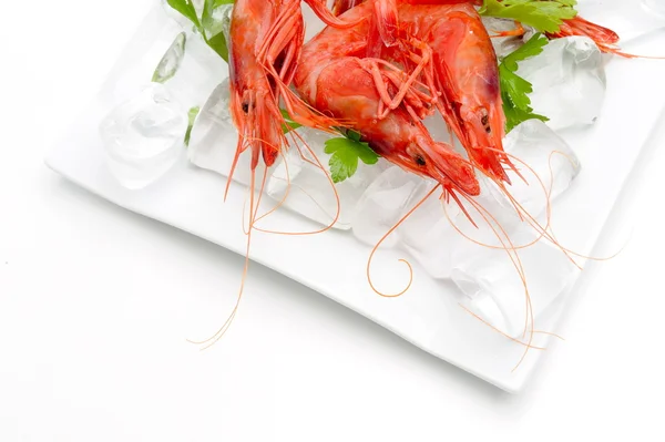 Stock image Shrimps with lemon and ice