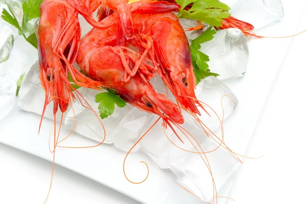 stock image Shrimps with lemon and ice