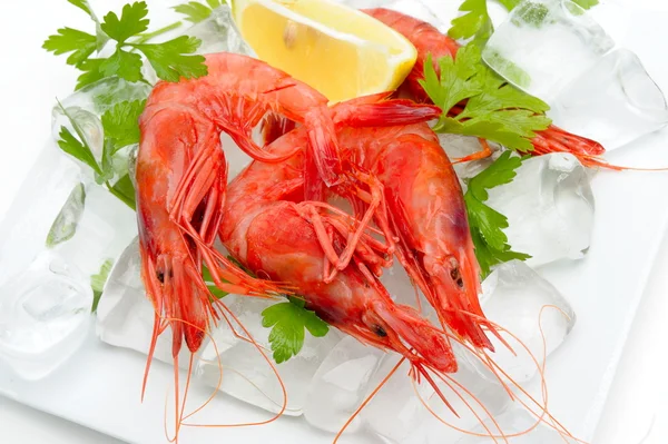 stock image Fresh shrimps