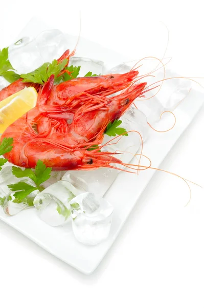 stock image Fresh shrimps