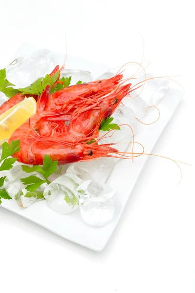 stock image Fresh shrimps