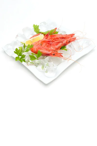 stock image Fresh shrimps