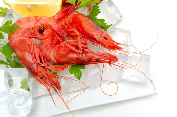 stock image Fresh shrimps with lemon and ice