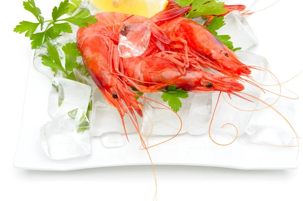 stock image Fresh shrimps with lemon and ice