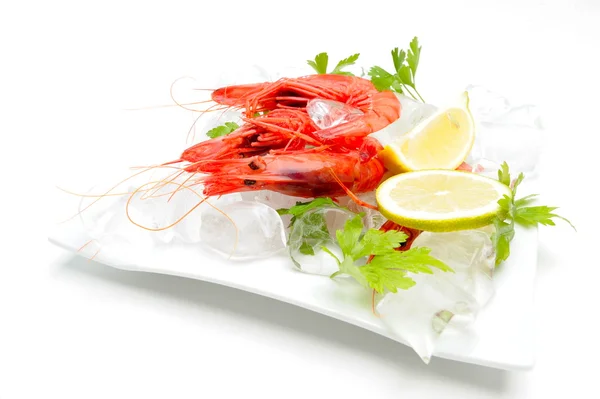 stock image Fresh shrimps with lemon and ice