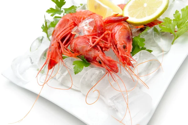 stock image Fresh shrimps