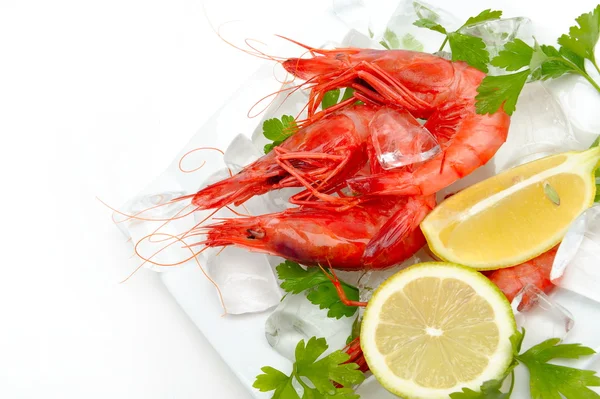 stock image Fresh shrimps