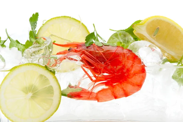 Stock image Shrimps with lemon and ice