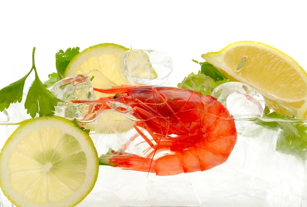 stock image Shrimps with lemon and ice