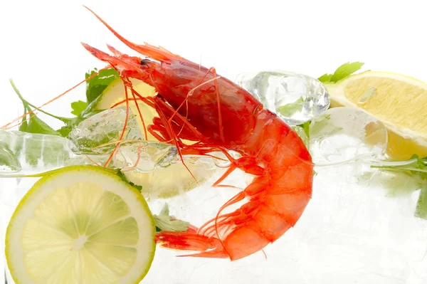 stock image Fresh shrimps with lemon and ice