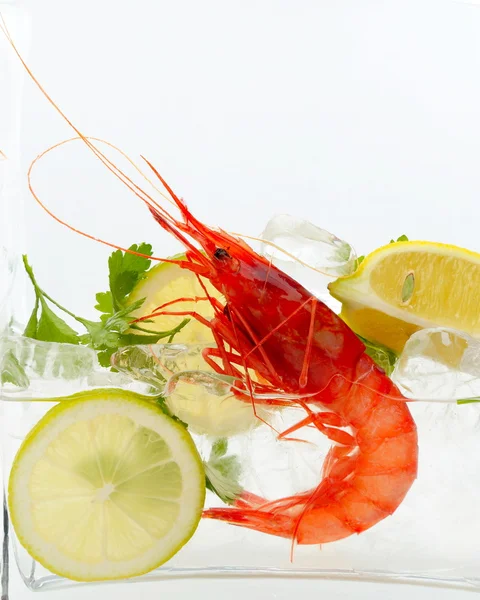 stock image Fresh shrimps with lemon and ice