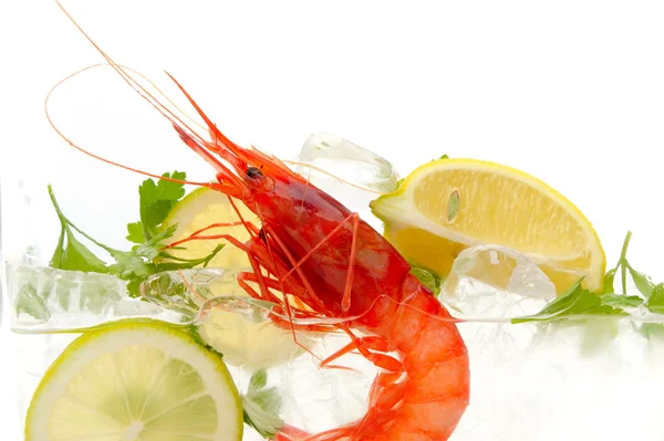 Stock image Fresh shrimps with lemon and ice