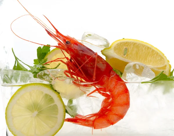 Stock image Fresh shrimps with lemon and ice