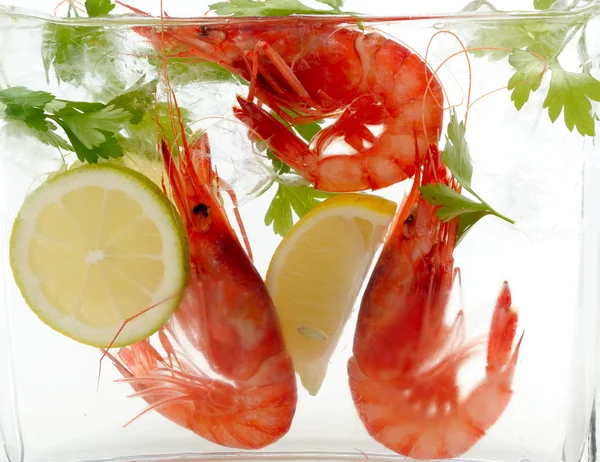 stock image Fresh shrimps with lemon and ice