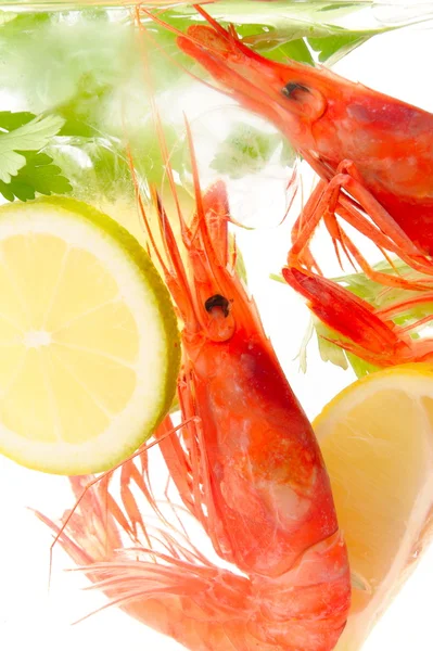 Fresh shrimps with lemon and ice — Stock Photo, Image