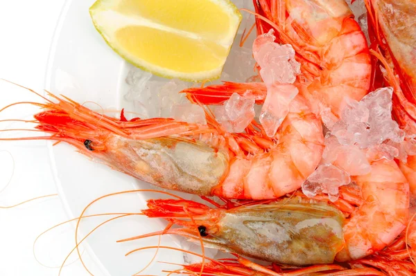 stock image Shrimps with lemon on ice